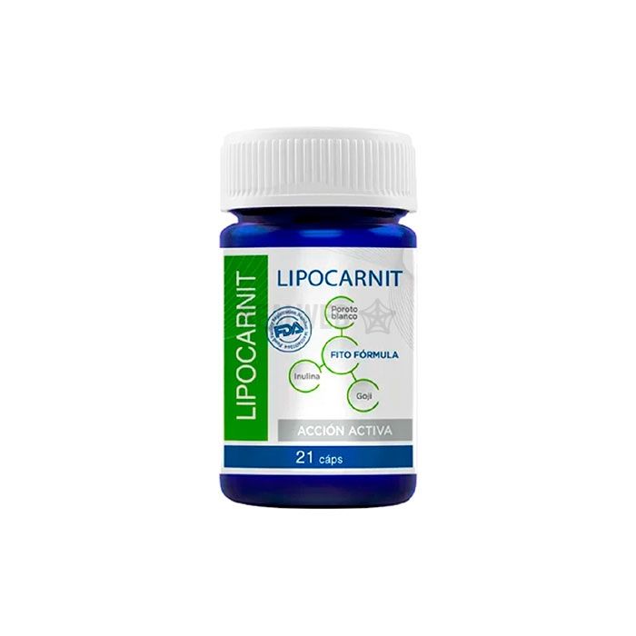 ✾ Lipocarnit