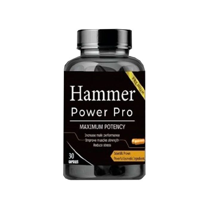 ✾ Hammer Power Pro