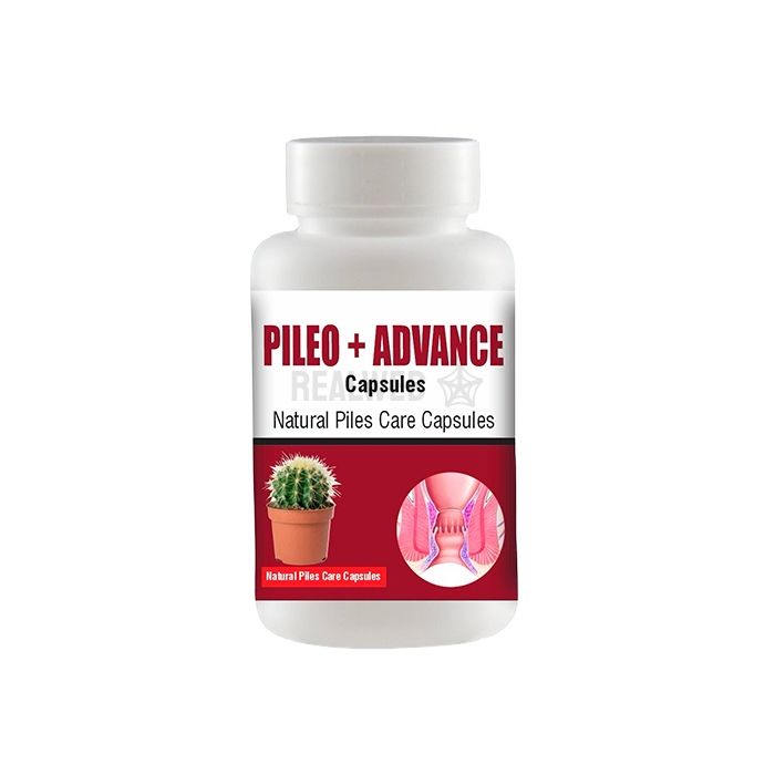 ✾ Pileo + Advance